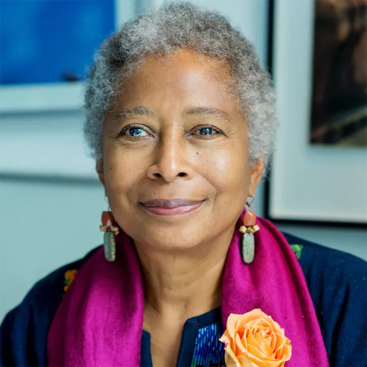 Alice Walker Human Design Insights