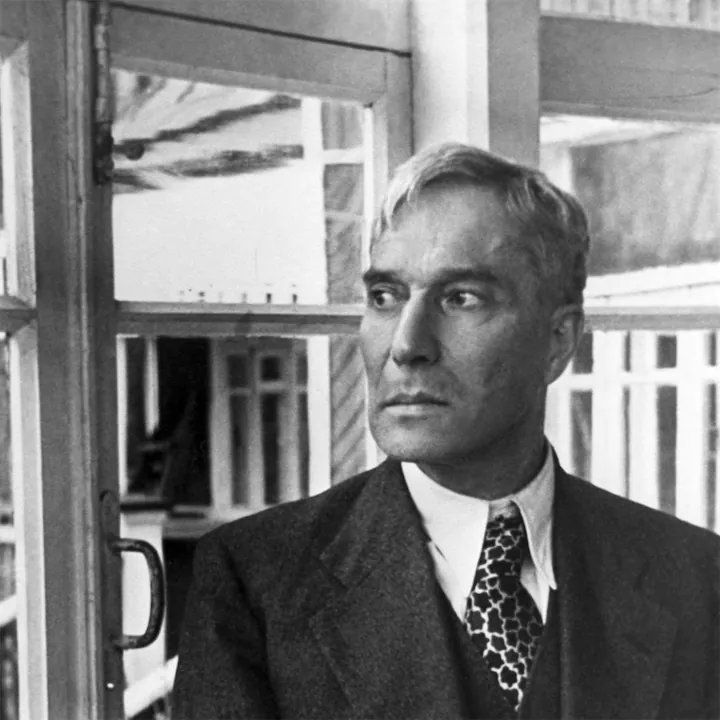 Boris Pasternak Human Design Insights