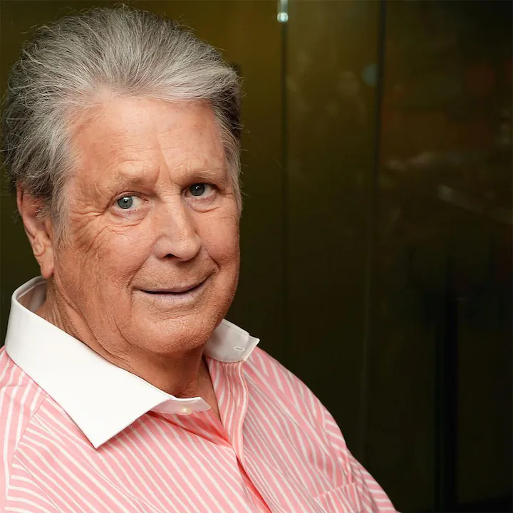 Explore Brian Wilson Human Design Insights