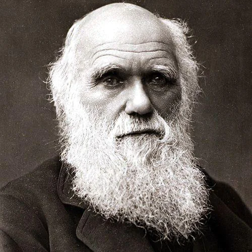 Charles Darwin Human Design Insights