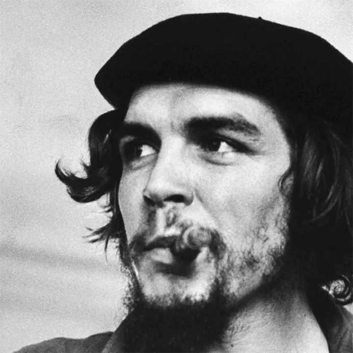 Che Guevara Human Design Insights