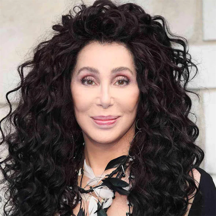 Cher's Human Design Insights