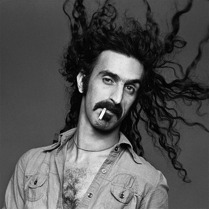 Frank Zappa Human Design Insights