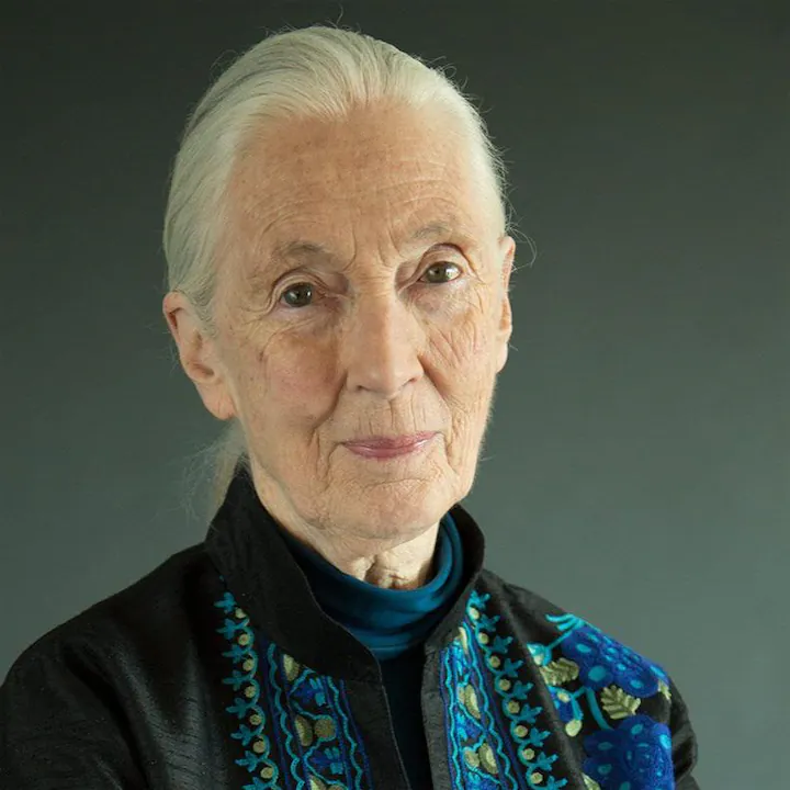 Jane Goodall Human Design Insights