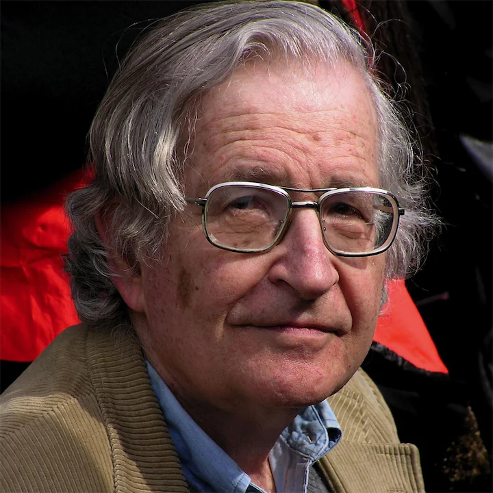 Noam Chomsky Human Design Effect