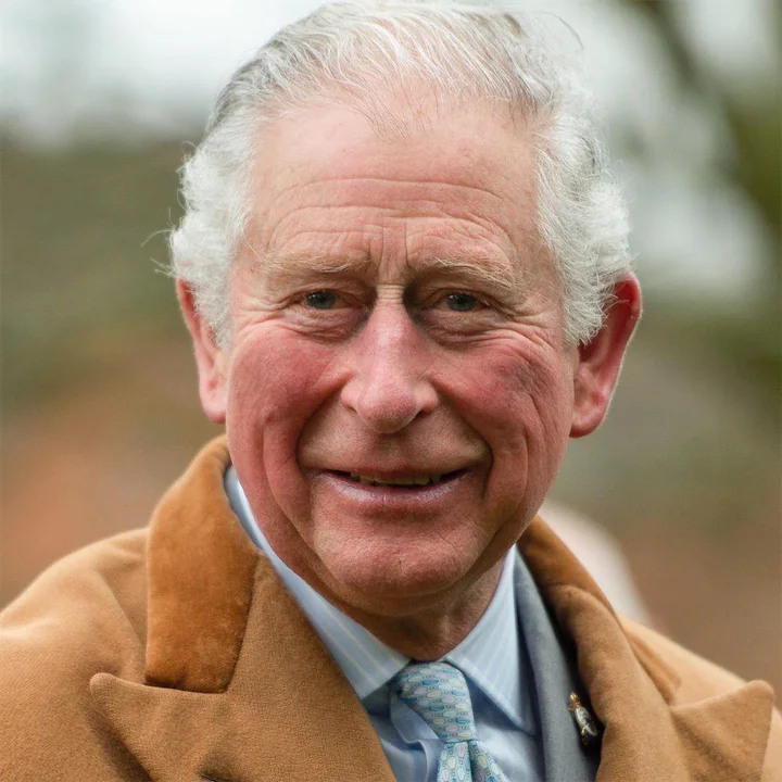 Explore Prince Charles' Human Design Insights