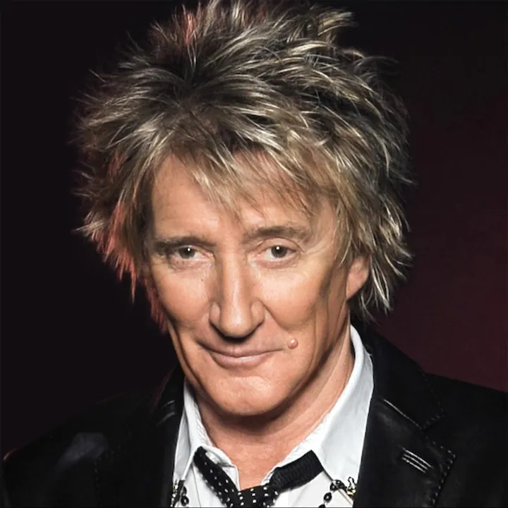 Discover Rod Stewart's Human Design