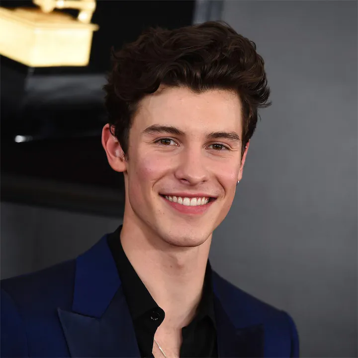 Shawn Mendes Human Design Insights