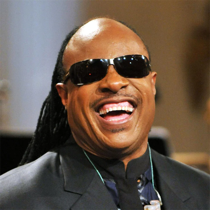 Stevie Wonder Human Design Insights