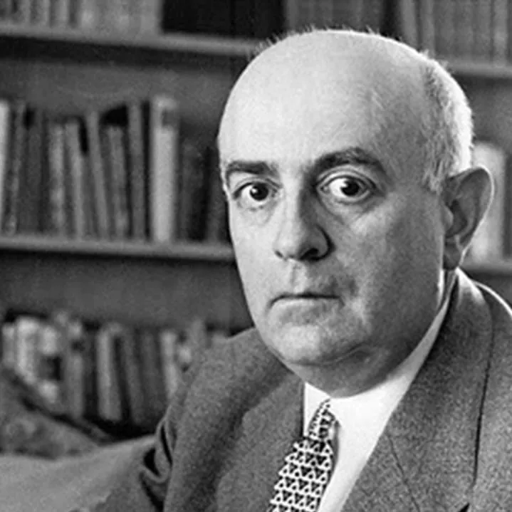 Theodor Adorno Human Design Insights