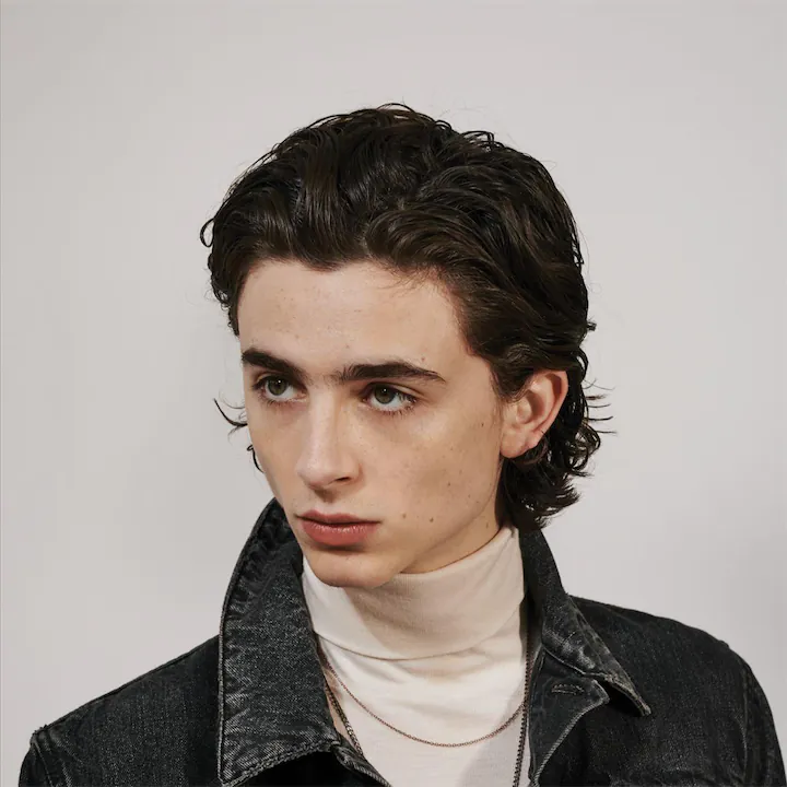 Timothée Chalamet Human Design Insights